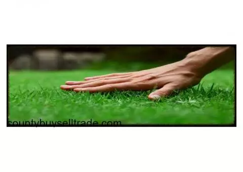 Lawncare/Groundskeeping